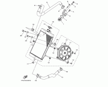 Radiator & Hose