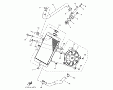 Radiator & Hose