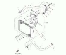 Radiator & Hose