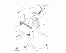 Radiator & Hose