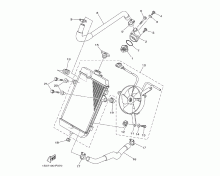 Radiator & Hose