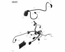 Engine Harness & Electronic Module