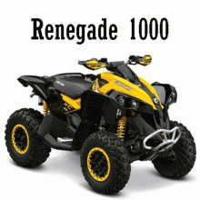 Renegade 1000 EFI STD, XXC