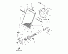 Radiator & Hose