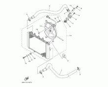 Radiator & Hose