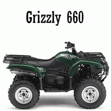 Grizzly 660 Bj. 2006