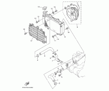 Radiator & Hose