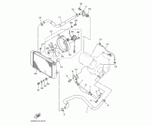 Radiator & Hose