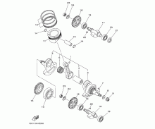 Crankshaft & Piston