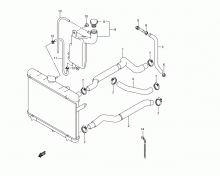 Radiator & Hose