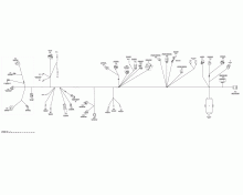 Electrical Harness Main