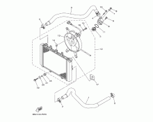 Radiator & Hose