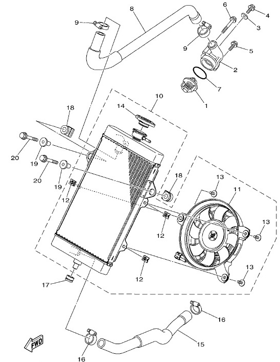 Kühler & Schlauch